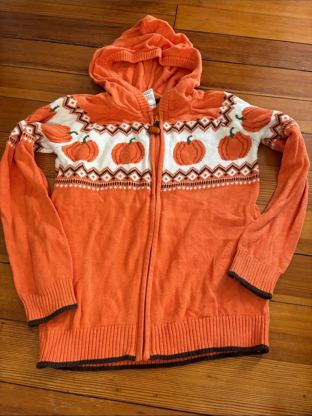 Gymboree Pumpkin Sweater Hoodie